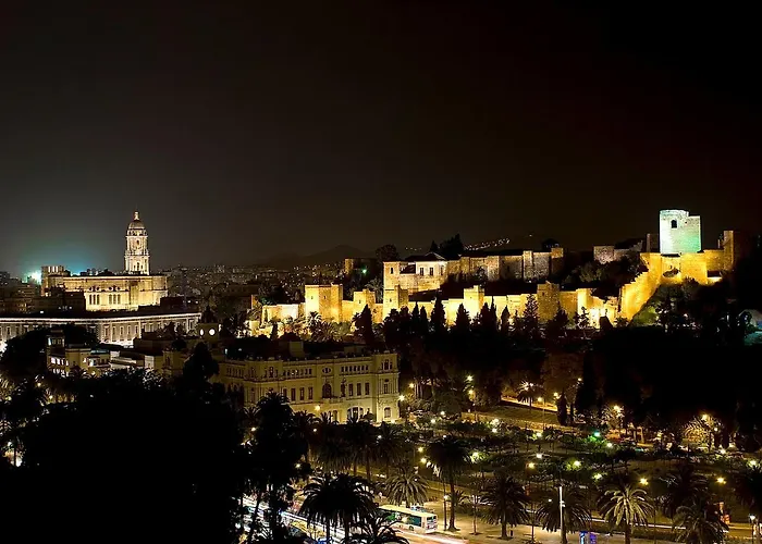 Inmalaga Catedral 1